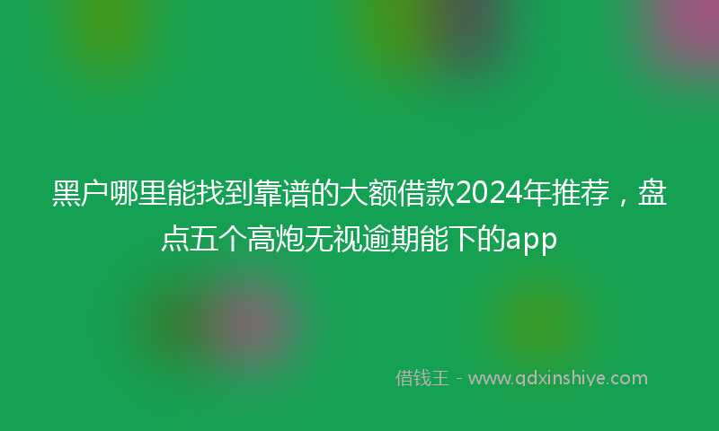 黑户哪里能找到靠谱的大额借款2024年推荐，盘点五个高炮无视逾期能下的app