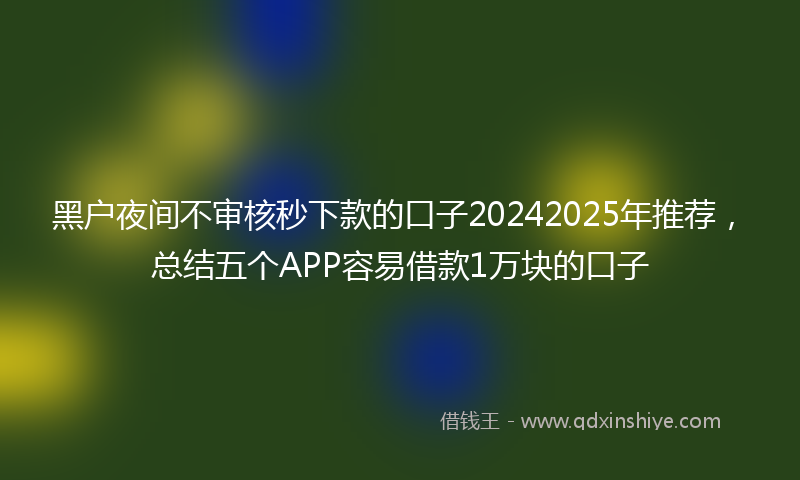 黑户夜间不审核秒下款的口子20242025年推荐，总结五个APP容易借款1万块的口子