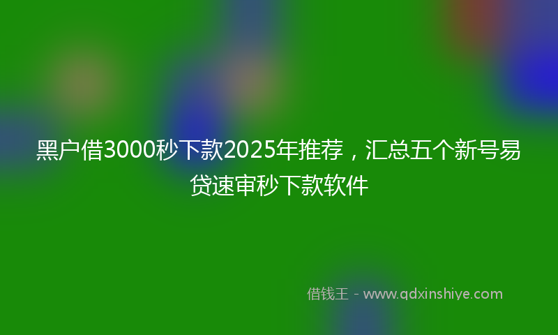 黑户借3000秒下款2025年推荐，汇总五个新号易贷速审秒下款软件
