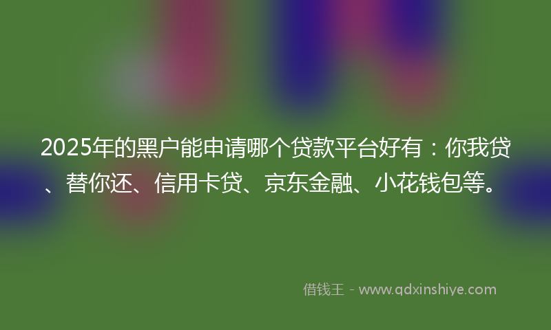 2025年的黑户能申请哪个贷款平台好有：你我贷、替你还、信用卡贷、京东金融、小花钱包等。