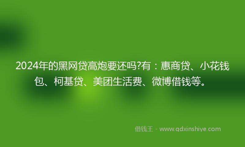 2024年的黑网贷高炮要还吗?有：惠商贷、小花钱包、柯基贷、美团生活费、微博借钱等。