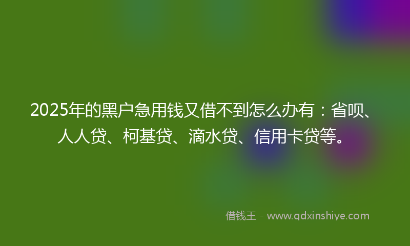 2025年的黑户急用钱又借不到怎么办有：省呗、人人贷、柯基贷、滴水贷、信用卡贷等。