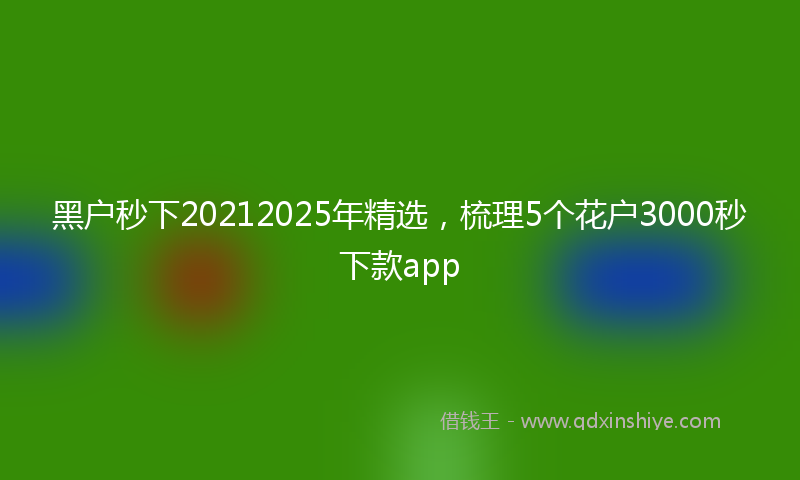 黑户秒下20212025年精选，梳理5个花户3000秒下款app