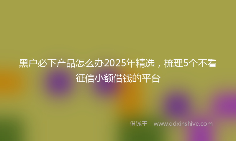 黑户必下产品怎么办2025年精选，梳理5个不看征信小额借钱的平台