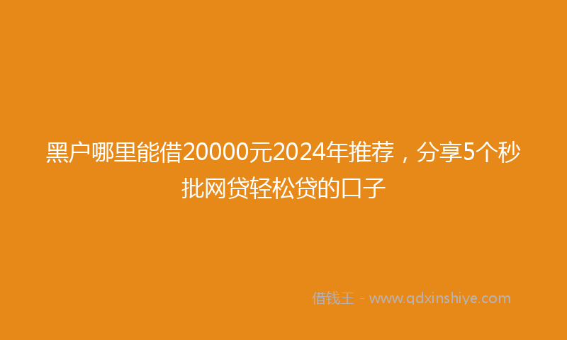 黑户哪里能借20000元2024年推荐，分享5个秒批网贷轻松贷的口子