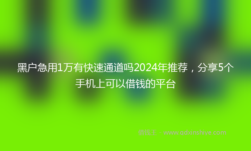 黑户急用1万有快速通道吗2024年推荐，分享5个手机上可以借钱的平台