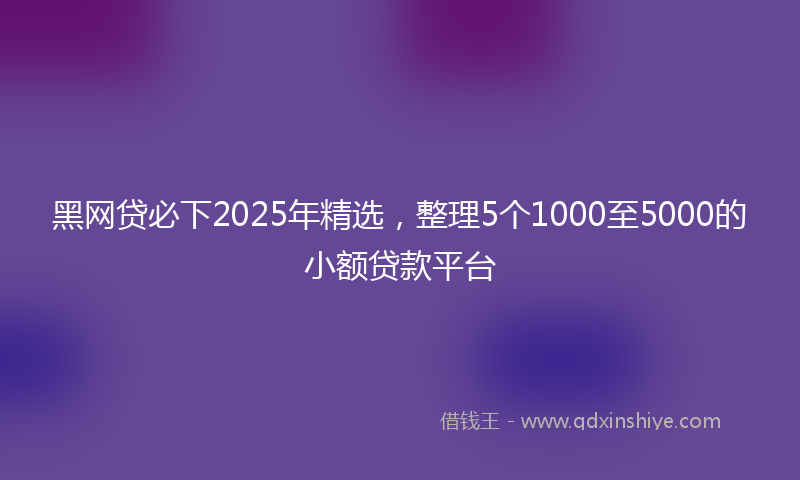 黑网贷必下2025年精选，整理5个1000至5000的小额贷款平台