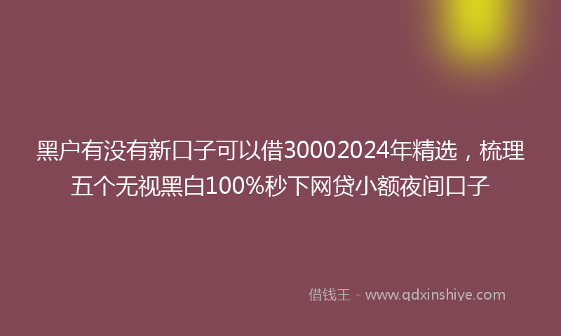 黑户有没有新口子可以借30002024年精选，梳理五个无视黑白100%秒下网贷小额夜间口子