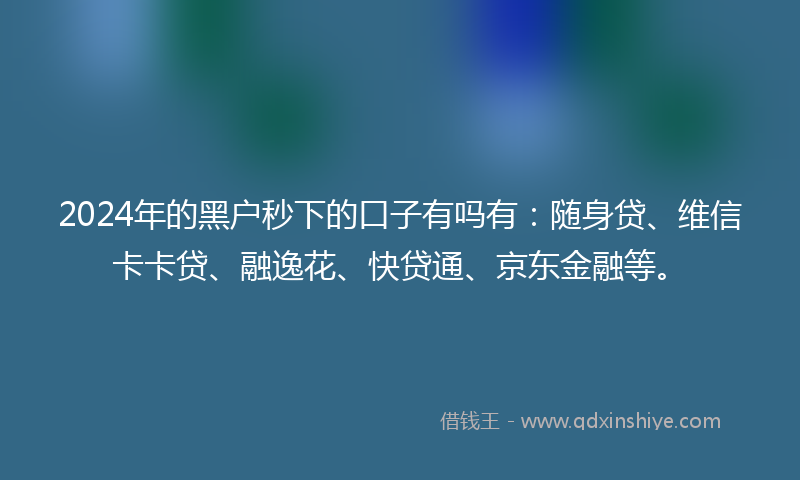 2024年的黑户秒下的口子有吗有：随身贷、维信卡卡贷、融逸花、快贷通、京东金融等。