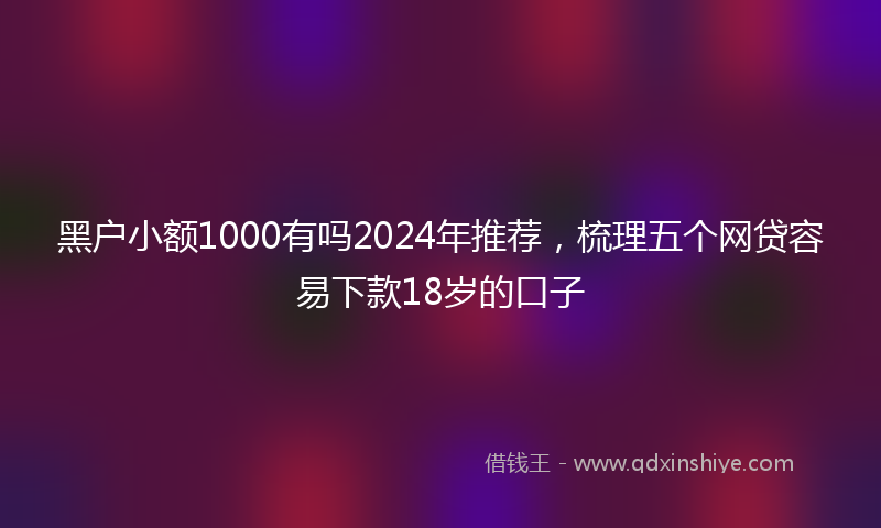 黑户小额1000有吗2024年推荐，梳理五个网贷容易下款18岁的口子
