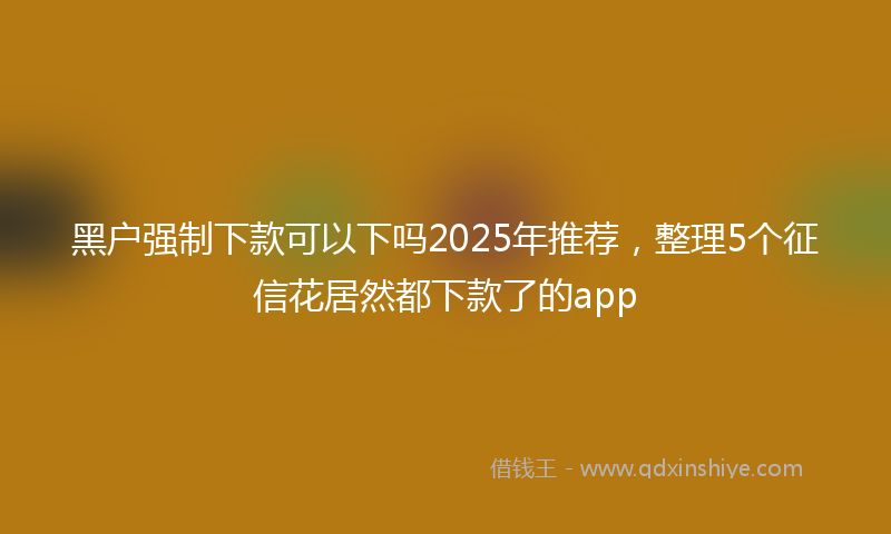 黑户强制下款可以下吗2025年推荐，整理5个征信花居然都下款了的app