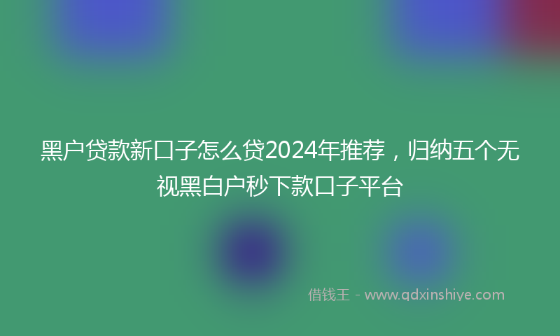 黑户贷款新口子怎么贷2024年推荐，归纳五个无视黑白户秒下款口子平台