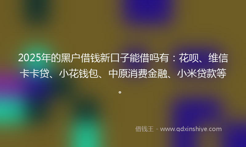 2025年的黑户借钱新口子能借吗有：花呗、维信卡卡贷、小花钱包、中原消费金融、小米贷款等。