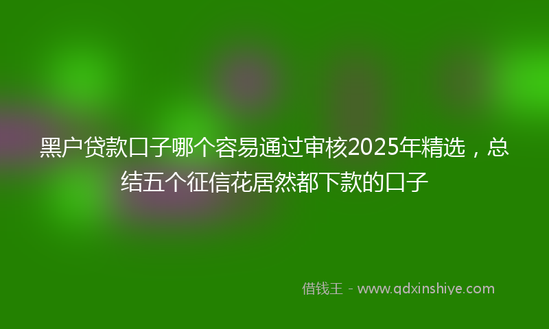 黑户贷款口子哪个容易通过审核2025年精选，总结五个征信花居然都下款的口子