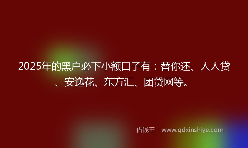 2025年的黑户必下小额口子有：替你还、人人贷、安逸花、东方汇、团贷网等。