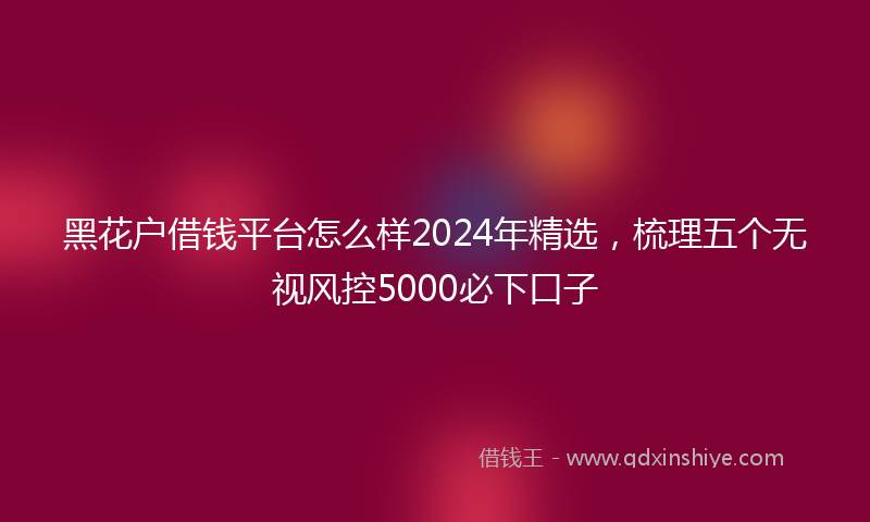 黑花户借钱平台怎么样2024年精选，梳理五个无视风控5000必下口子