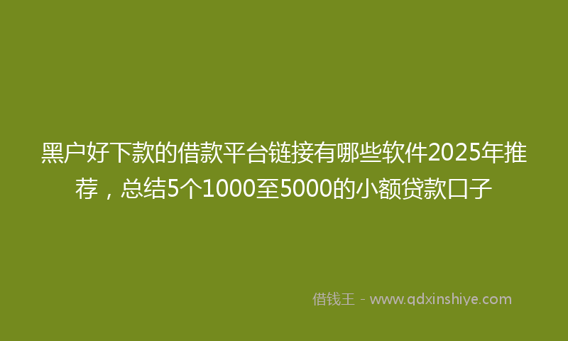 黑户好下款的借款平台链接有哪些软件2025年推荐，总结5个1000至5000的小额贷款口子