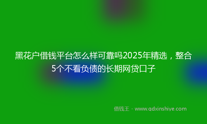 黑花户借钱平台怎么样可靠吗2025年精选，整合5个不看负债的长期网贷口子