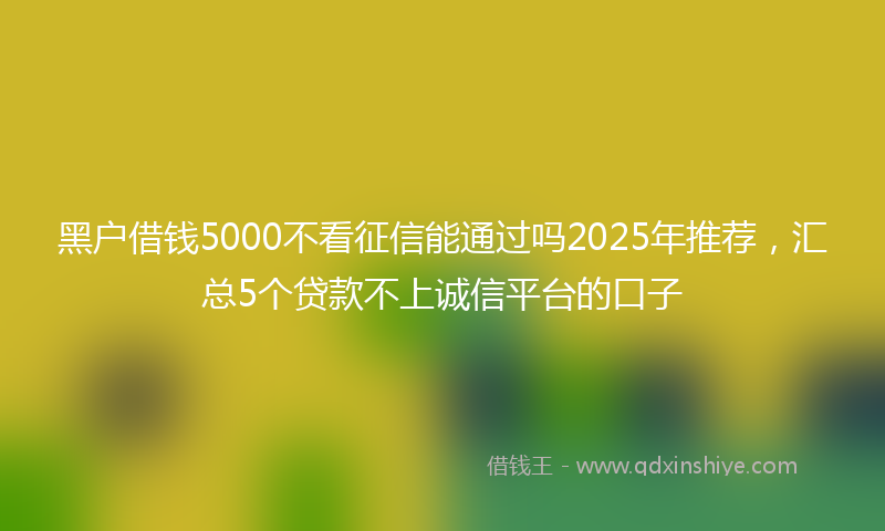 黑户借钱5000不看征信能通过吗2025年推荐，汇总5个贷款不上诚信平台的口子