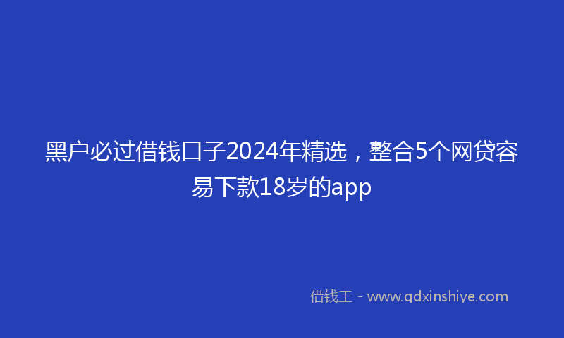 黑户必过借钱口子2024年精选，整合5个网贷容易下款18岁的app