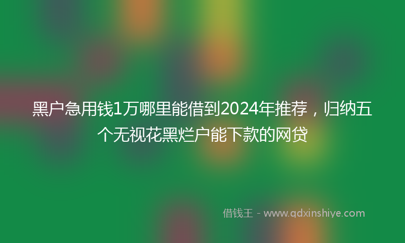 黑户急用钱1万哪里能借到2024年推荐，归纳五个无视花黑烂户能下款的网贷