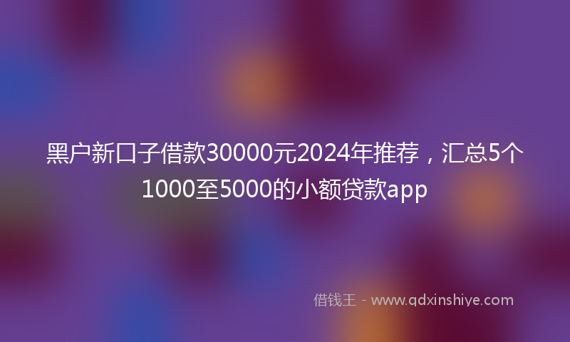 黑户新口子借款30000元2024年推荐，汇总5个1000至5000的小额贷款app