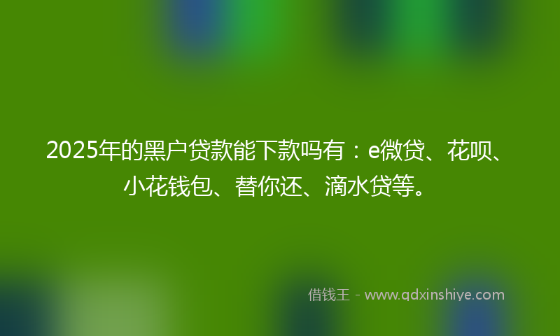 2025年的黑户贷款能下款吗有：e微贷、花呗、小花钱包、替你还、滴水贷等。