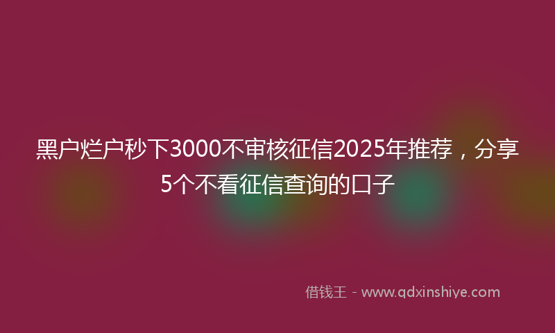 黑户烂户秒下3000不审核征信2025年推荐，分享5个不看征信查询的口子