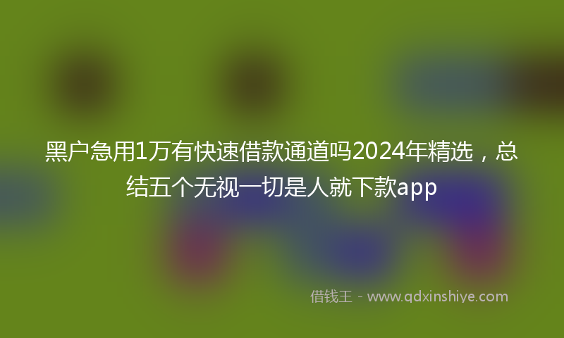 黑户急用1万有快速借款通道吗2024年精选，总结五个无视一切是人就下款app