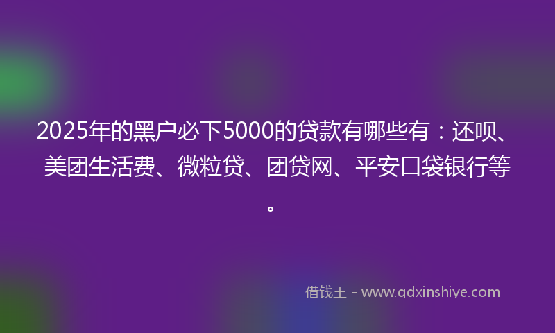 2025年的黑户必下5000的贷款有哪些有：还呗、美团生活费、微粒贷、团贷网、平安口袋银行等。