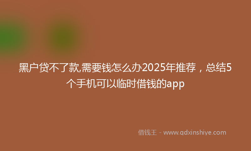黑户贷不了款,需要钱怎么办2025年推荐，总结5个手机可以临时借钱的app