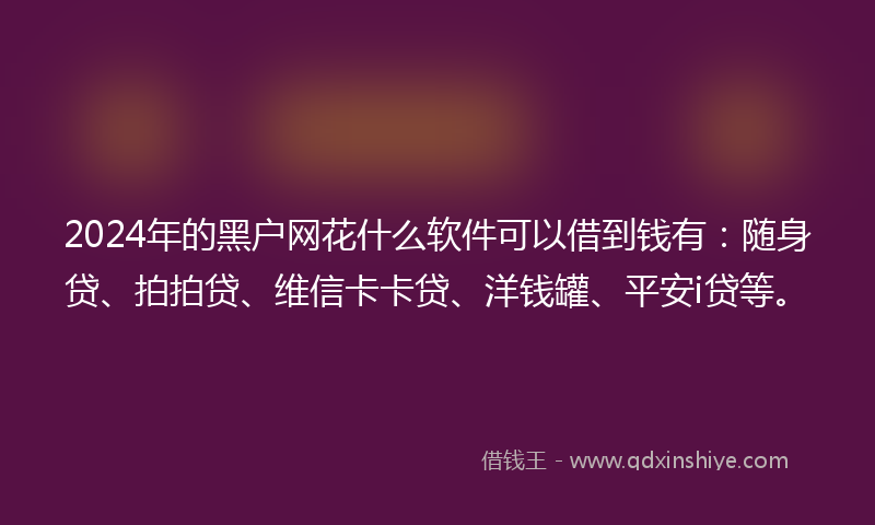 2024年的黑户网花什么软件可以借到钱有：随身贷、拍拍贷、维信卡卡贷、洋钱罐、平安i贷等。