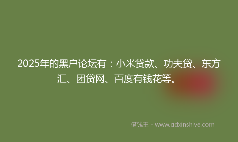 2025年的黑户论坛有：小米贷款、功夫贷、东方汇、团贷网、百度有钱花等。