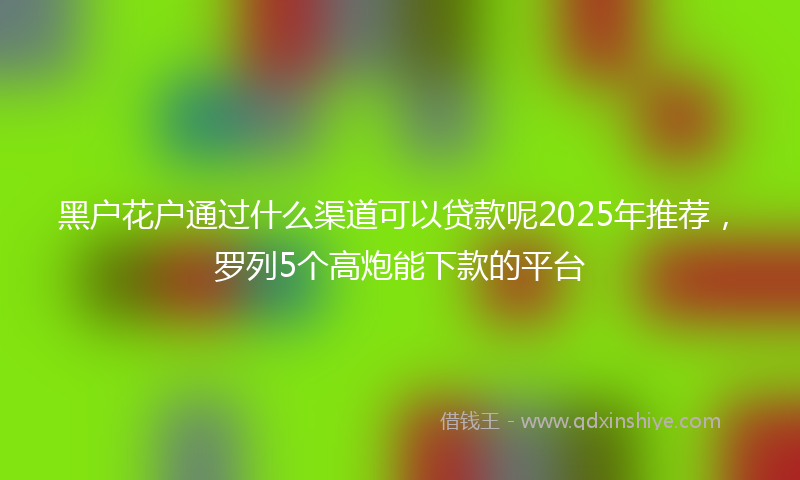 黑户花户通过什么渠道可以贷款呢2025年推荐，罗列5个高炮能下款的平台