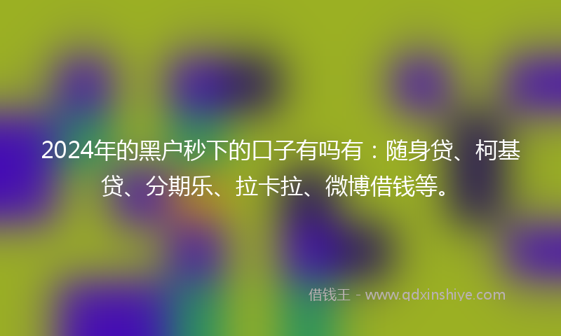 2024年的黑户秒下的口子有吗有：随身贷、柯基贷、分期乐、拉卡拉、微博借钱等。