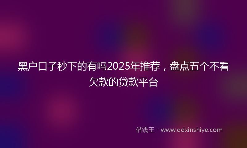 黑户口子秒下的有吗2025年推荐，盘点五个不看欠款的贷款平台