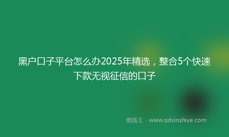 黑户口子平台怎么办2025年精选，整合5个快速下款无视征信的口子