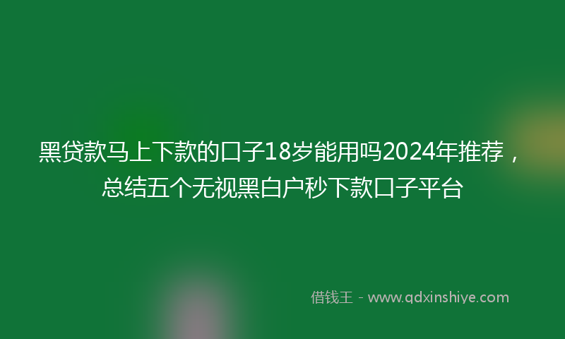 黑贷款马上下款的口子18岁能用吗2024年推荐，总结五个无视黑白户秒下款口子平台