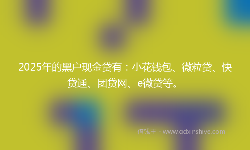 2025年的黑户现金贷有：小花钱包、微粒贷、快贷通、团贷网、e微贷等。