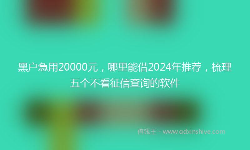 黑户急用20000元，哪里能借2024年推荐，梳理五个不看征信查询的软件