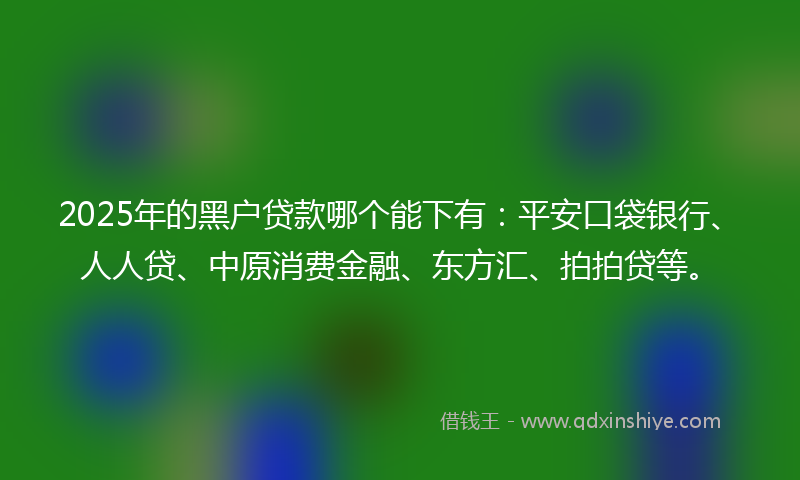 2025年的黑户贷款哪个能下有：平安口袋银行、人人贷、中原消费金融、东方汇、拍拍贷等。