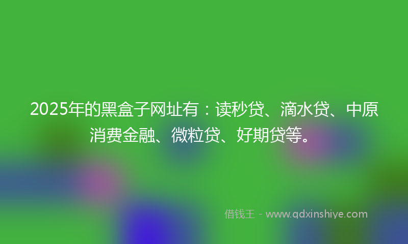 2025年的黑盒子网址有：读秒贷、滴水贷、中原消费金融、微粒贷、好期贷等。