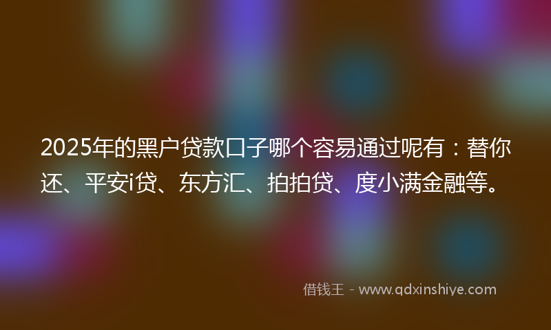 2025年的黑户贷款口子哪个容易通过呢有：替你还、平安i贷、东方汇、拍拍贷、度小满金融等。