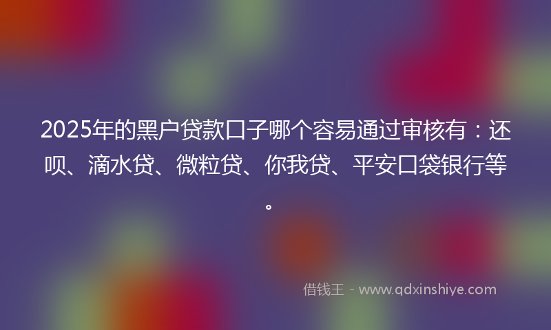 2025年的黑户贷款口子哪个容易通过审核有：还呗、滴水贷、微粒贷、你我贷、平安口袋银行等。