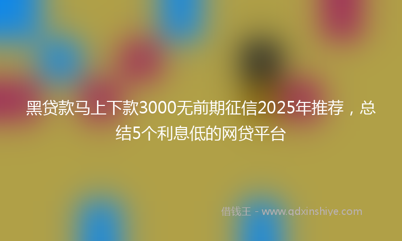 黑贷款马上下款3000无前期征信2025年推荐，总结5个利息低的网贷平台