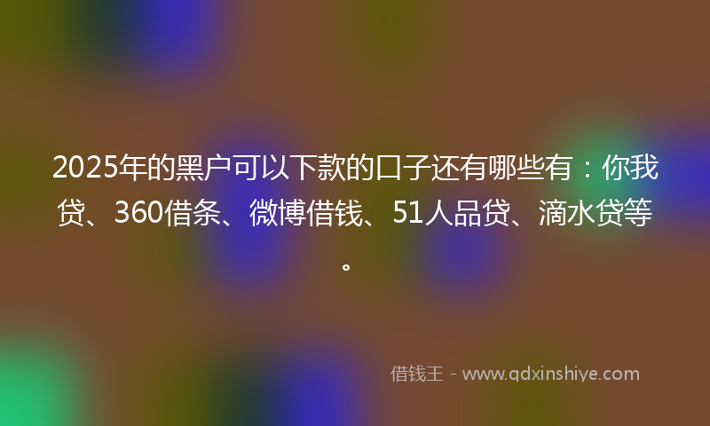 2025年的黑户可以下款的口子还有哪些有：你我贷、360借条、微博借钱、51人品贷、滴水贷等。