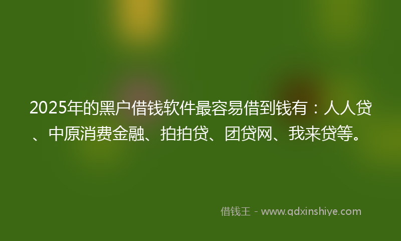 2025年的黑户借钱软件最容易借到钱有：人人贷、中原消费金融、拍拍贷、团贷网、我来贷等。