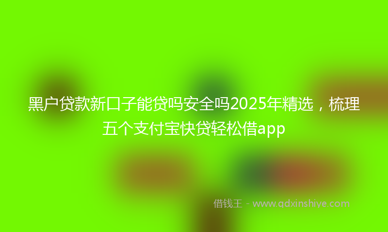 黑户贷款新口子能贷吗安全吗2025年精选，梳理五个支付宝快贷轻松借app