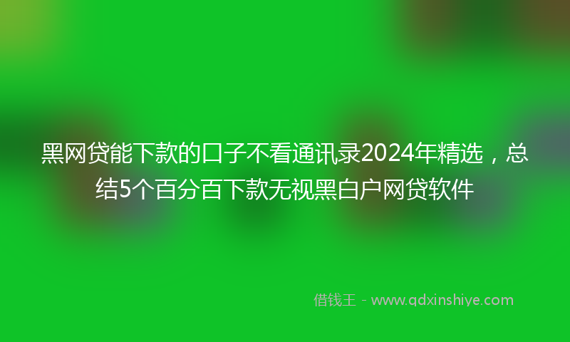 黑网贷能下款的口子不看通讯录2024年精选，总结5个百分百下款无视黑白户网贷软件