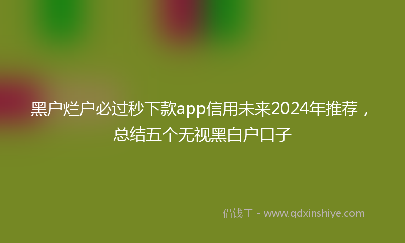 黑户烂户必过秒下款app信用未来2024年推荐，总结五个无视黑白户口子
